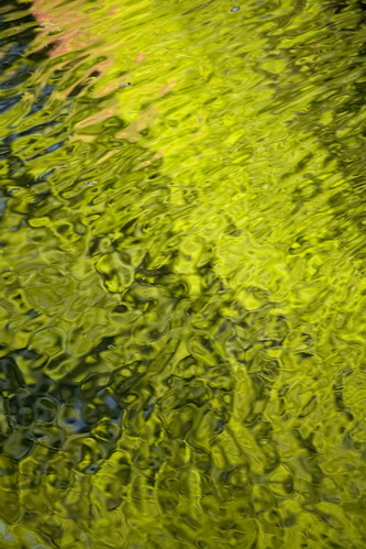 Tennessee;Allardt;Colditz Cove;Textures;Shapes;Patterns;Abstractions;Abstract;Reflections;Reflection